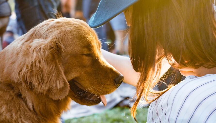 人類對於動物的愛，為什麼遠遠超過於人？