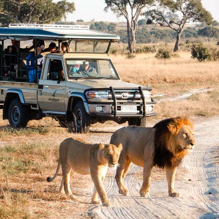 為什麼非洲獵遊 Safari 價格這麼貴？七大理由破解你的迷思！